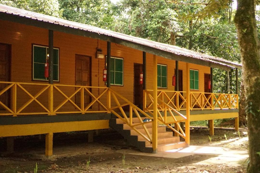 Villa Borneo Jungle Adventure Kinabatangan Exterior foto